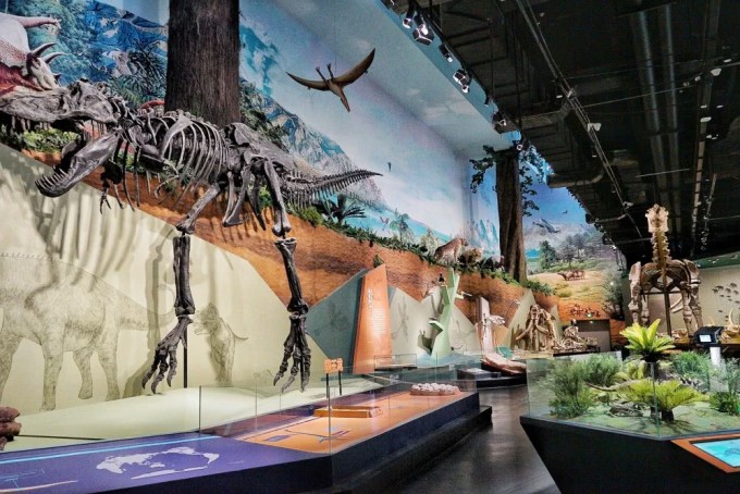 探秘地球心脏 柳州洞穴博物馆，亲子研学与自然科学的完美交融