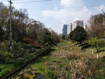 滇池口述环境史 人湖共生关系的变迁与启示——基于西南环境史研究所第1期调研报告的自然科学研究视角